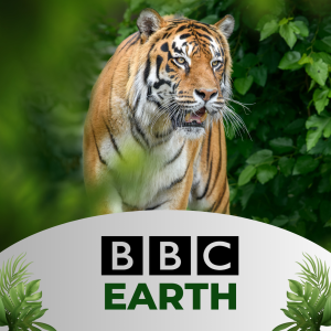 BBC Earth Live Streaming (1)